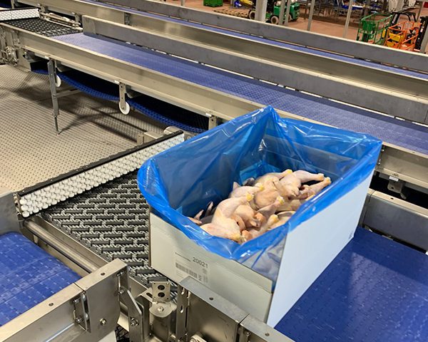 Case-Handling-Conveyors