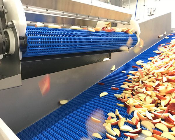 Incline-Conveyor_Apples